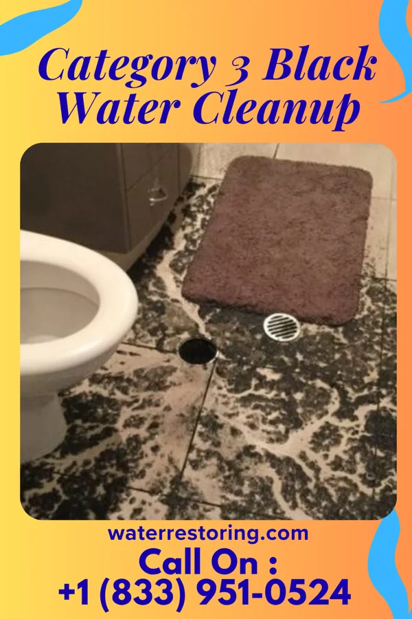 Category 3 Black Water Cleanup in Millville, OH