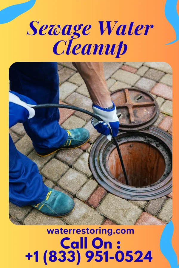 Sewage Water Cleanup in Millville, OH