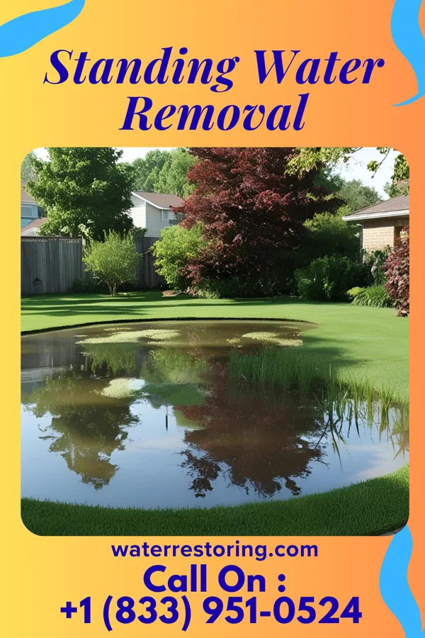 Standing Water Removal in Millville, OH